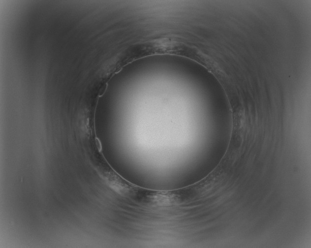 X0000073480615200607311202