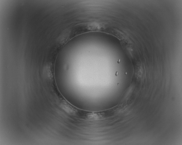 X0000073480616200607311202