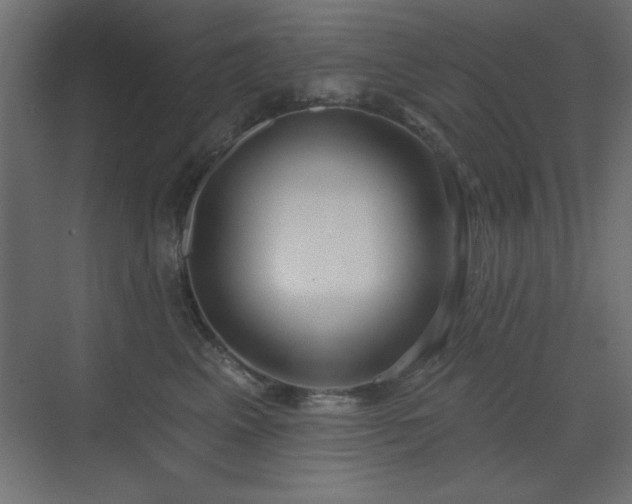 X0000073480617200607311202