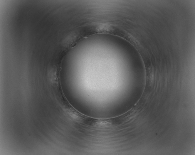 X0000073480619200607311202