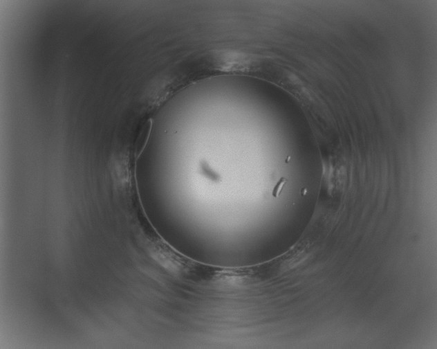 X0000073480620200607311202