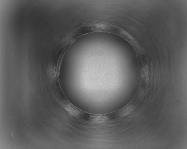 X0000073480621200607311202