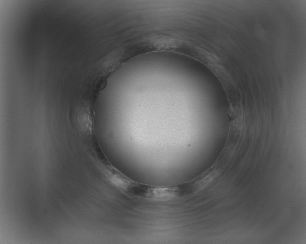 X0000073480622200607311202