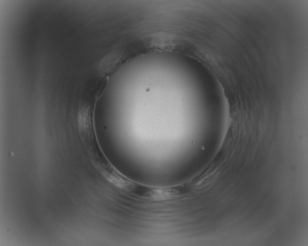 X0000073480623200607311202