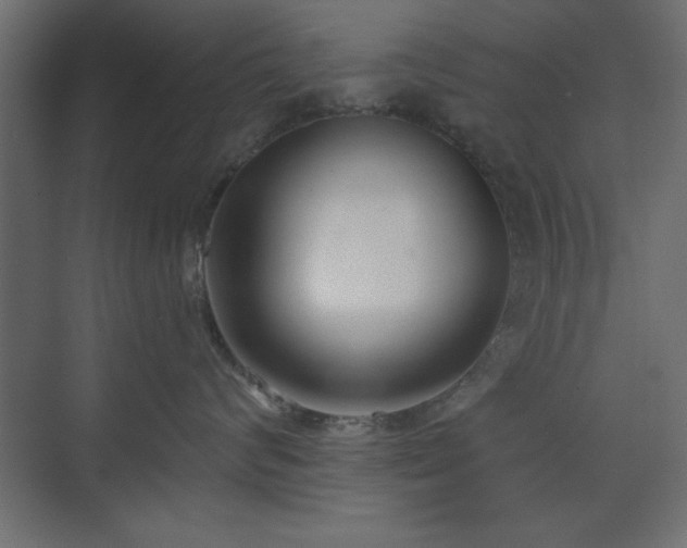 X0000073480624200607311202