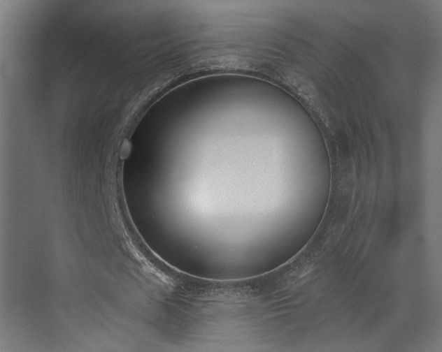 X0000073480625200607311201