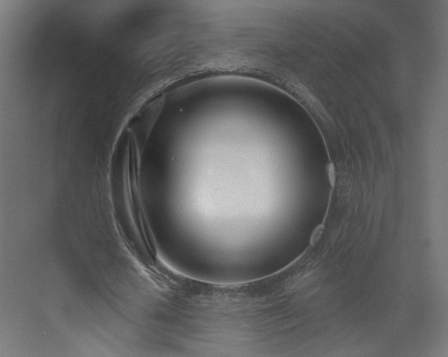 X0000073480626200607311201