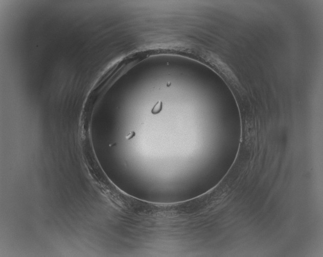 X0000073480628200607311201