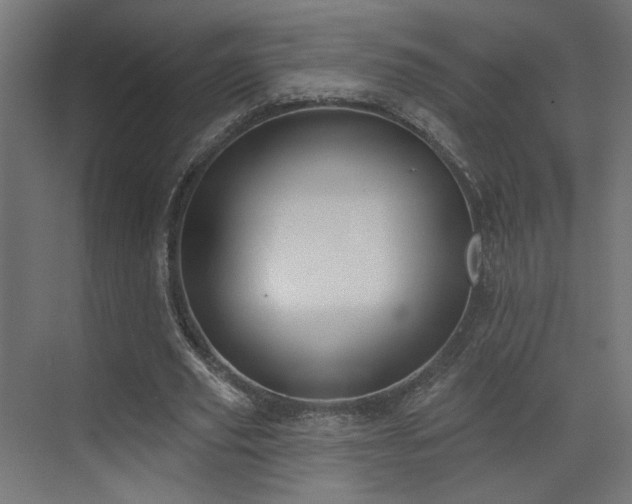 X0000073480629200607311201