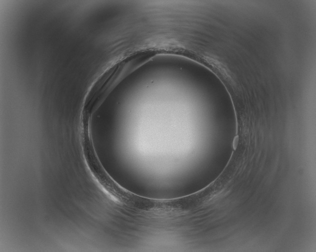 X0000073480630200607311201