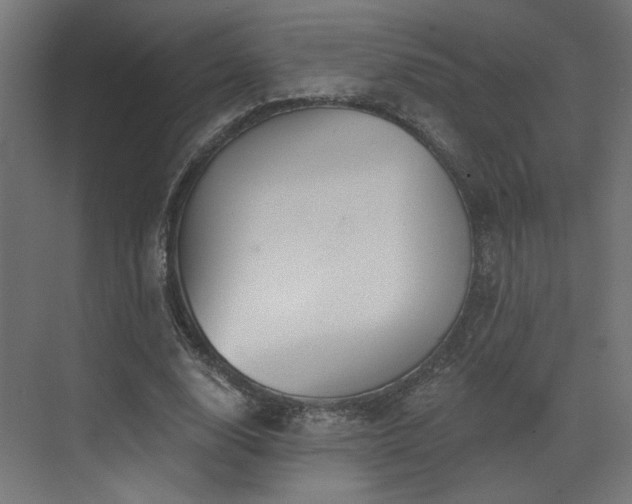 X0000073480632200607311201