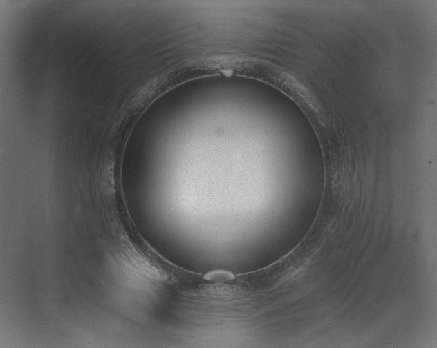 X0000073480633200607311201