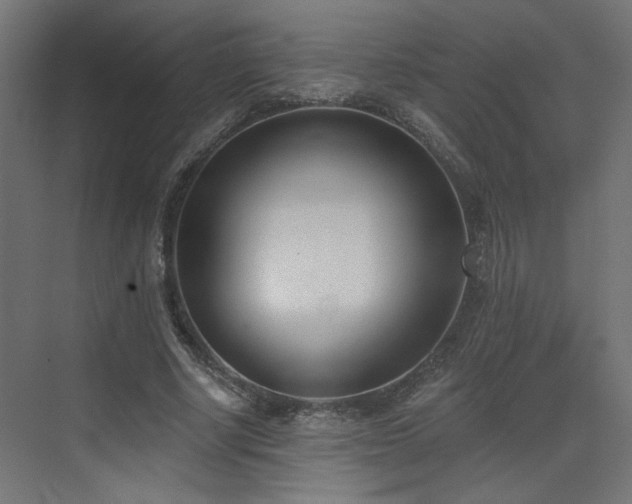 X0000073480634200607311201