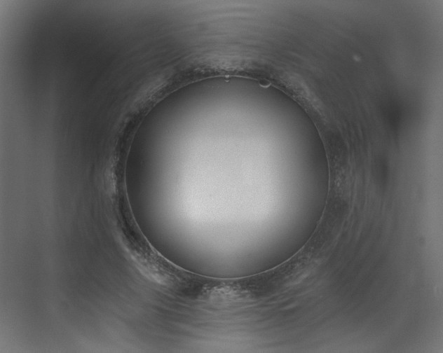 X0000073480635200607311201