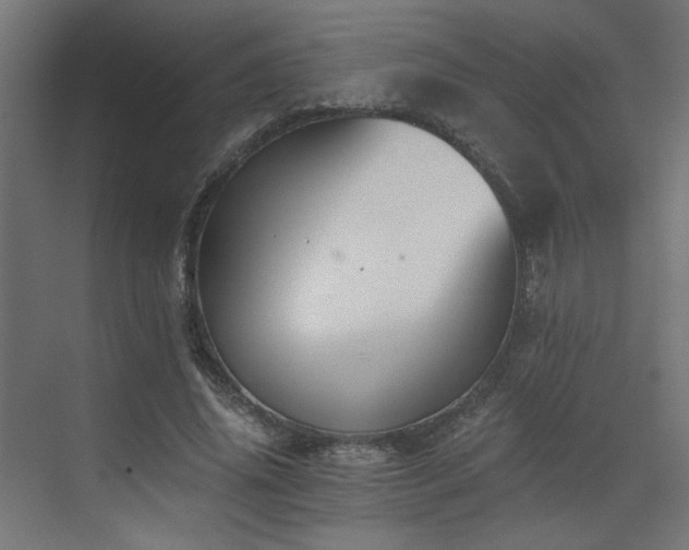 X0000073480636200607311201