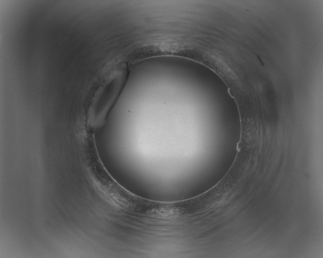 X0000073480639200607311201