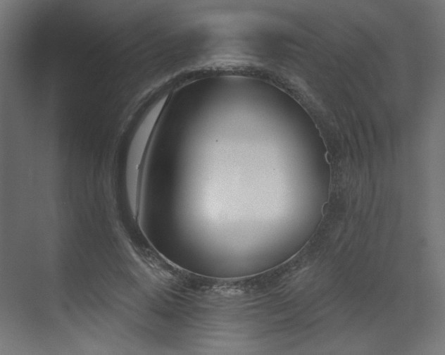 X0000073480640200607311201