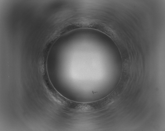 X0000073480642200607311201