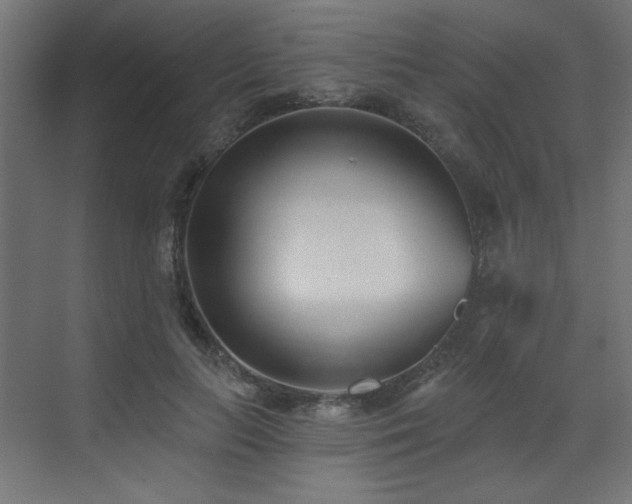 X0000073480647200607311201