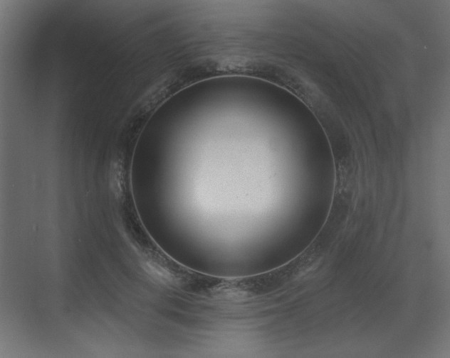 X0000073480648200607311201