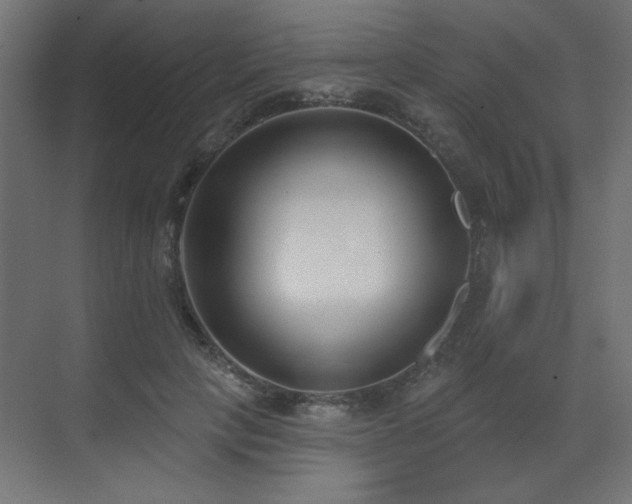 X0000073480649200607311201