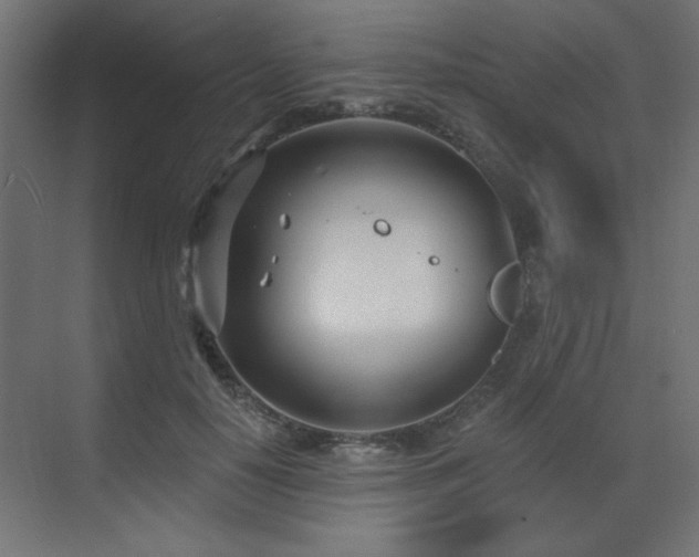 X0000073480650200607311201