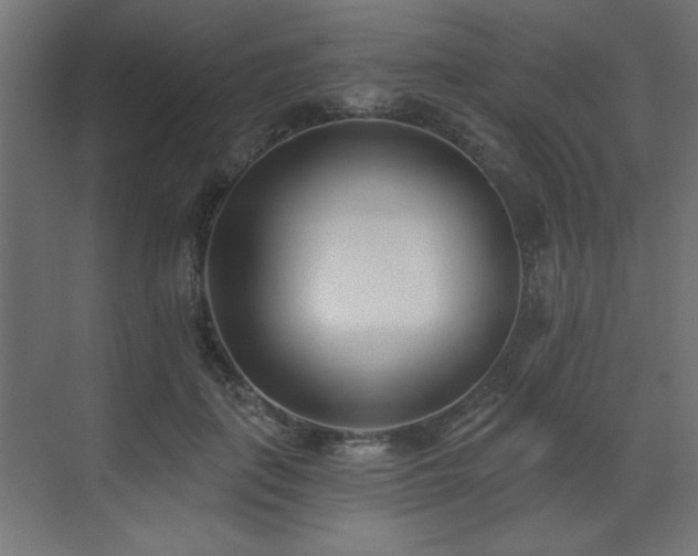 X0000073480651200607311202