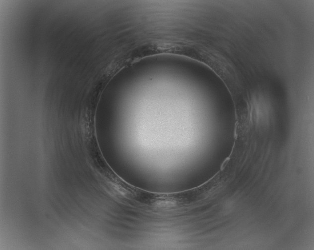 X0000073480653200607311202