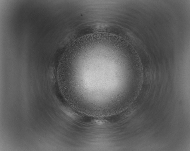 X0000073480654200607311202