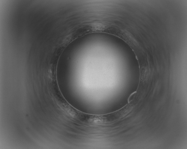 X0000073480655200607311202