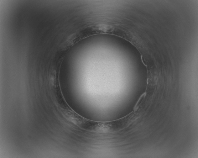 X0000073480656200607311202