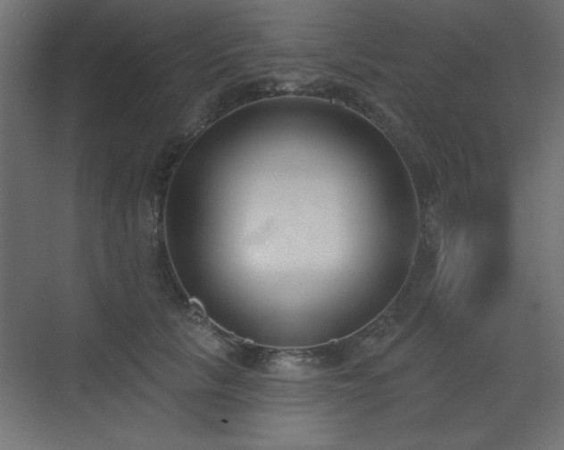 X0000073480657200607311202