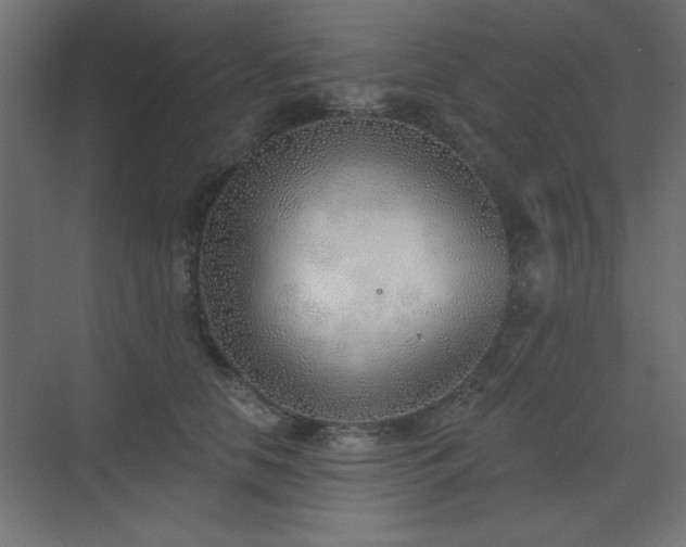 X0000073480658200607311202