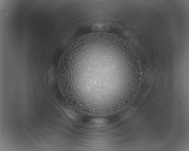 X0000073480659200607311202