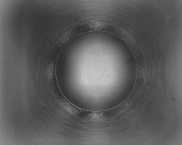 X0000073480660200607311202