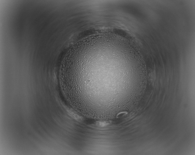 X0000073480662200607311202