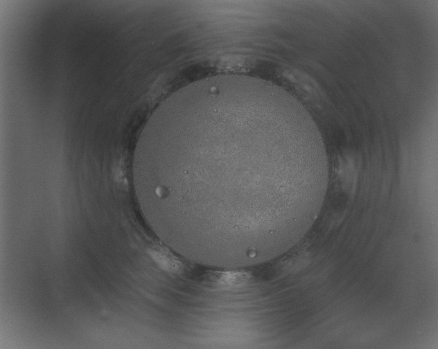 X0000073480663200607311202