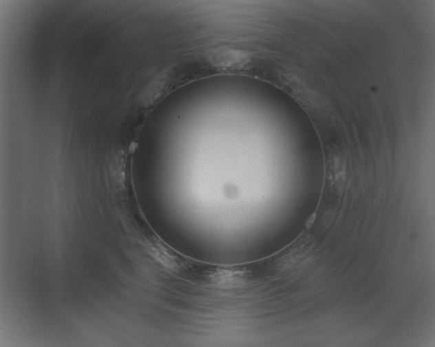 X0000073480664200607311202