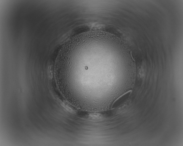 X0000073480666200607311202