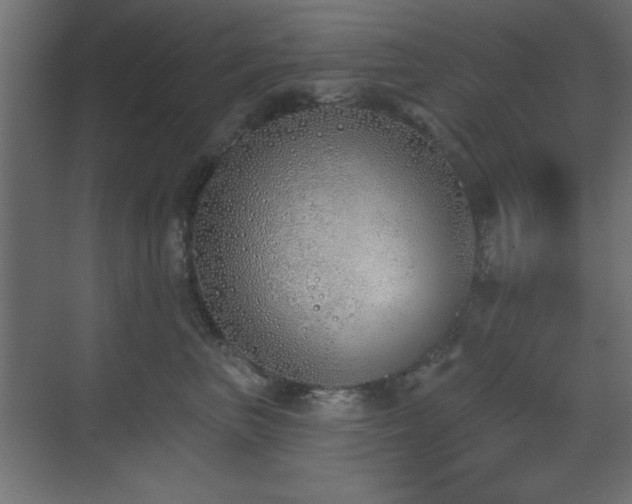 X0000073480667200607311202