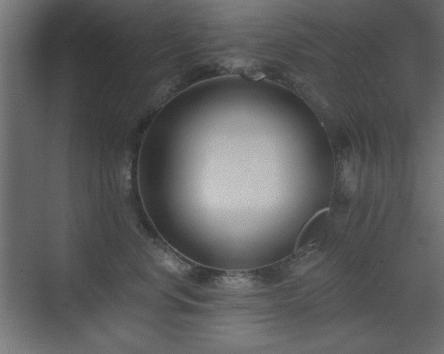 X0000073480668200607311202