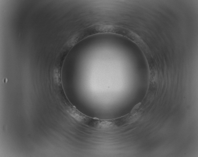 X0000073480669200607311202