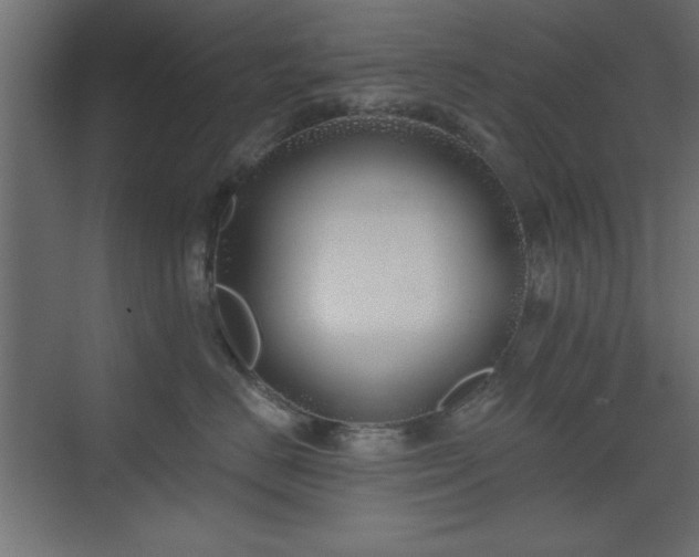 X0000073480670200607311202