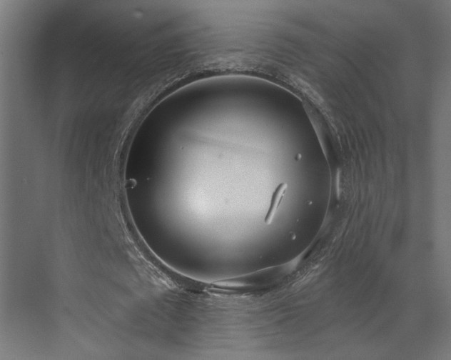 X0000073480673200607311201