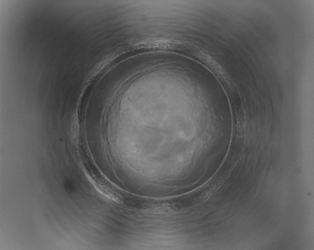 X0000073480674200607311201