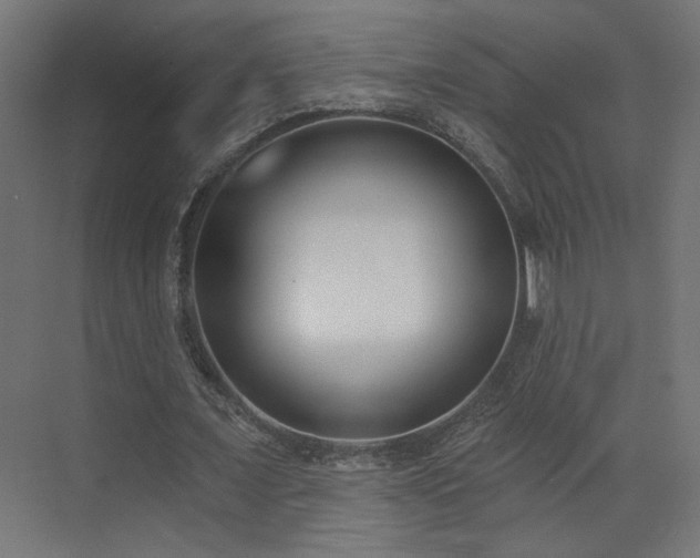 X0000073480675200607311201