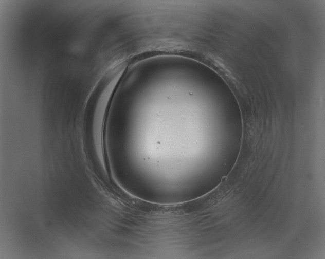 X0000073480679200607311201