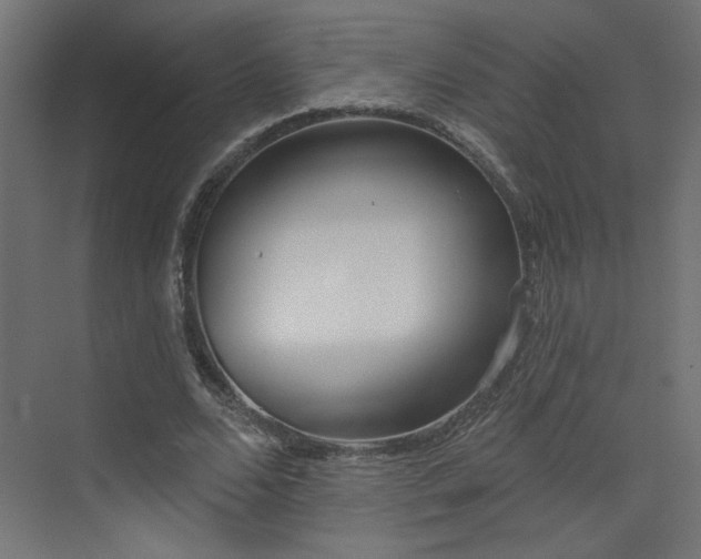 X0000073480680200607311201