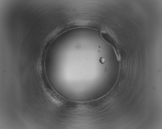 X0000073480682200607311201