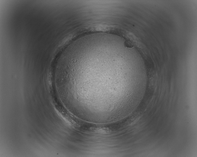 X0000073480683200607311201